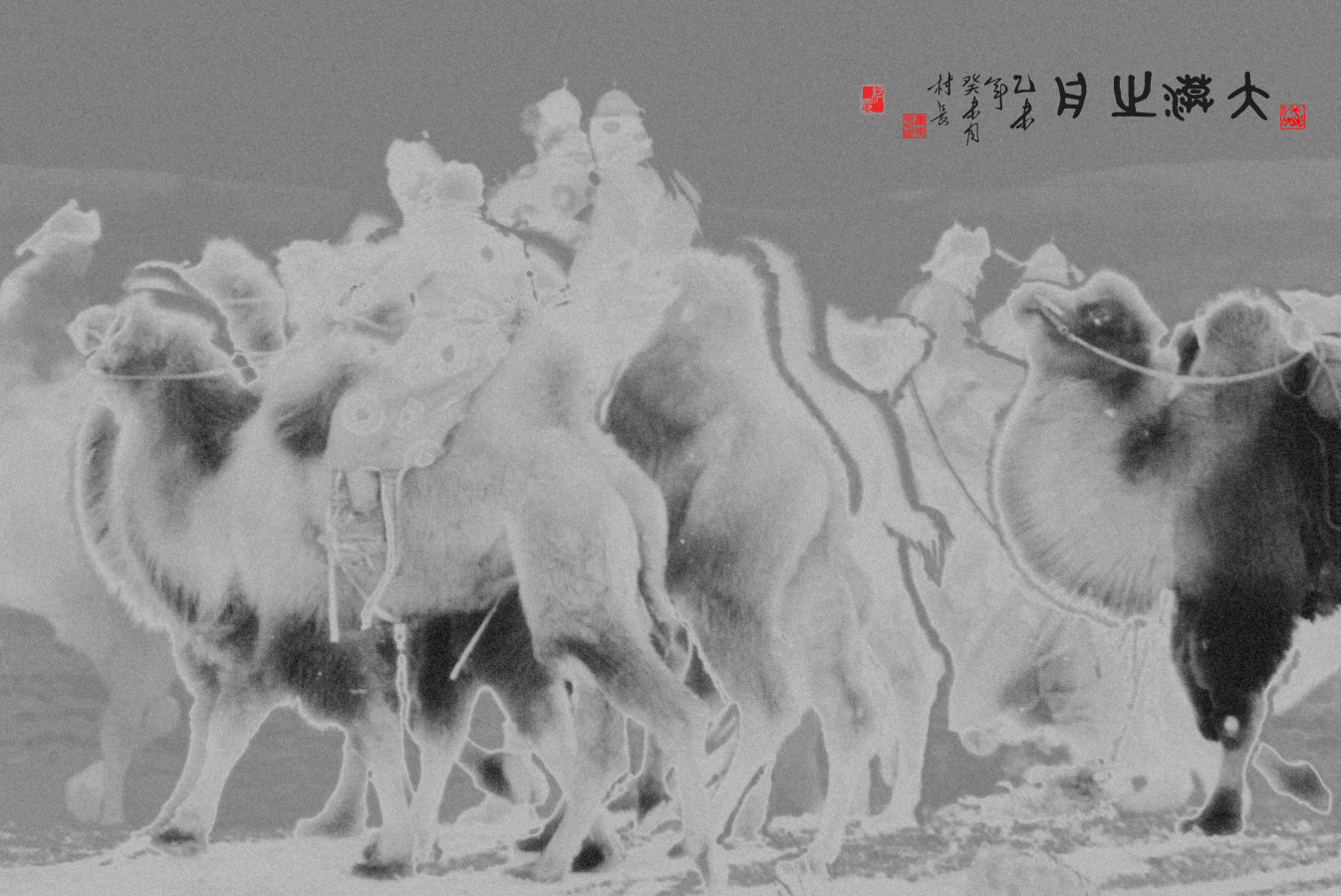 大漠之舟