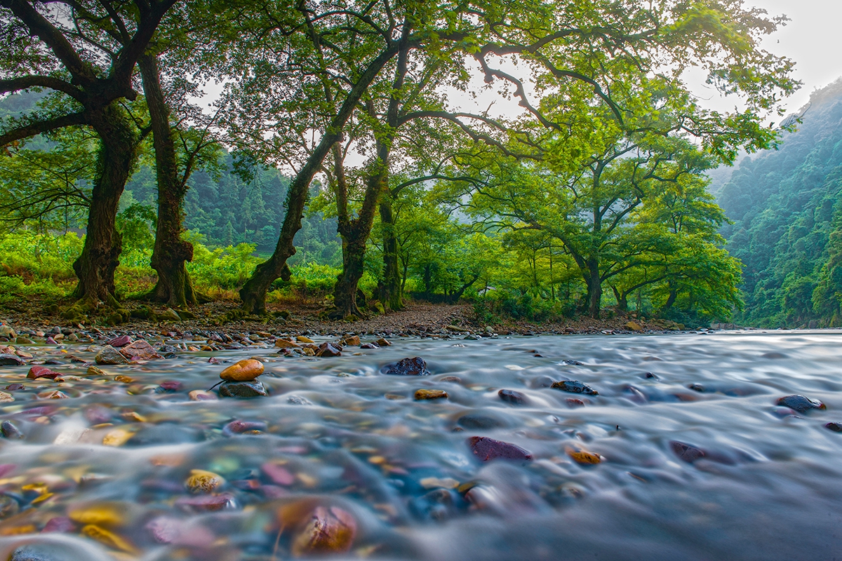 溪水径流