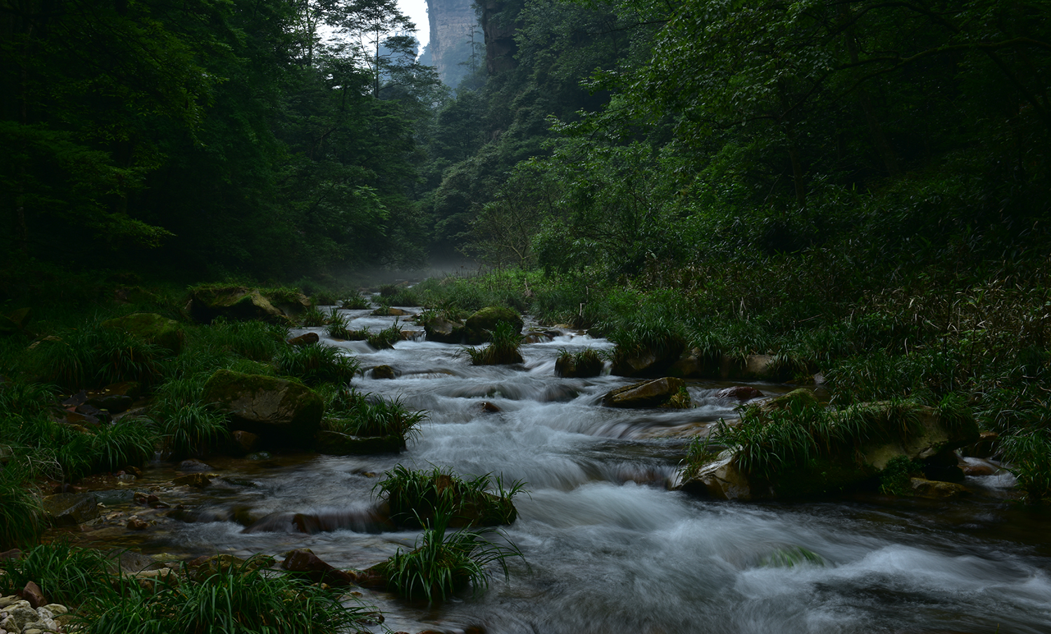 金鞭溪风景