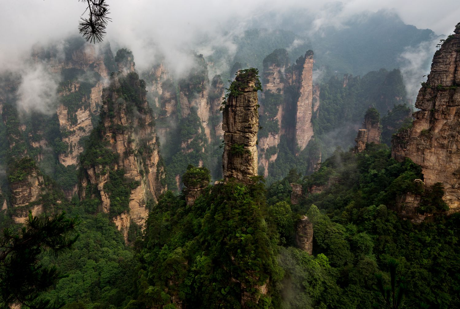 前花园-2
