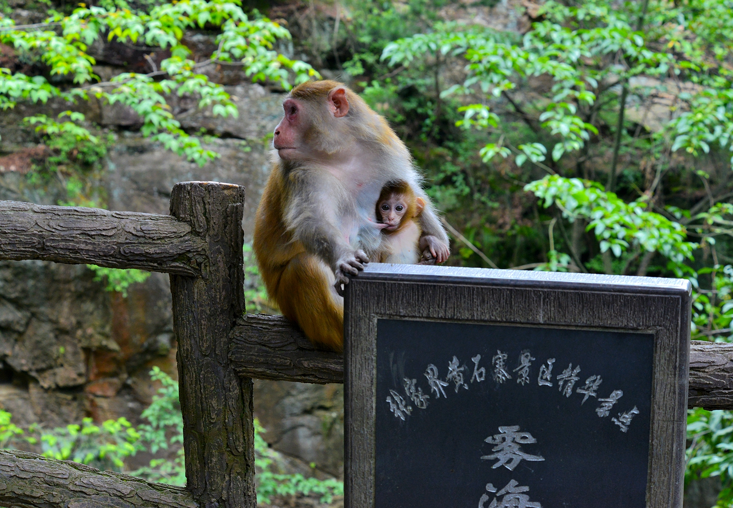 宜  居