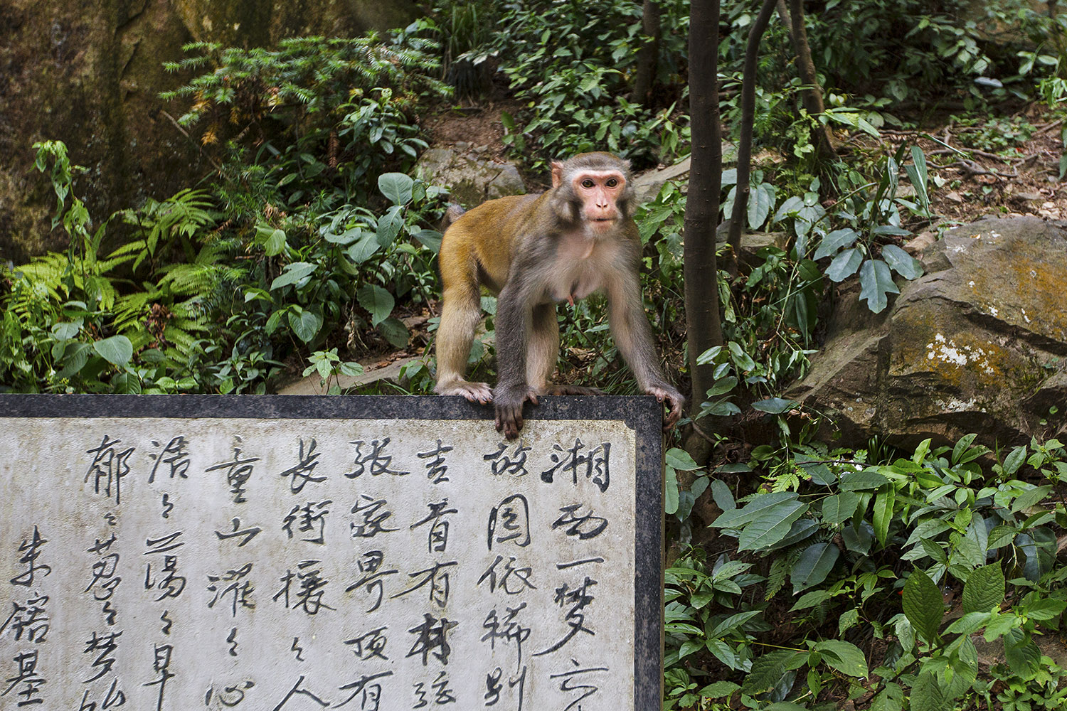 看这里