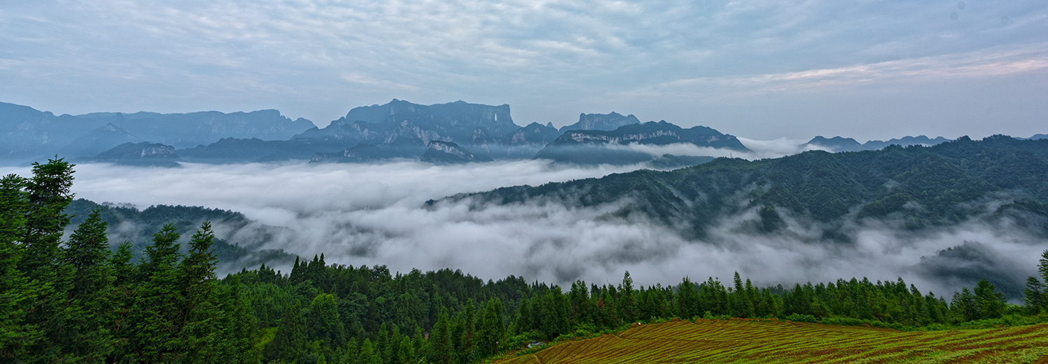 远眺天门山