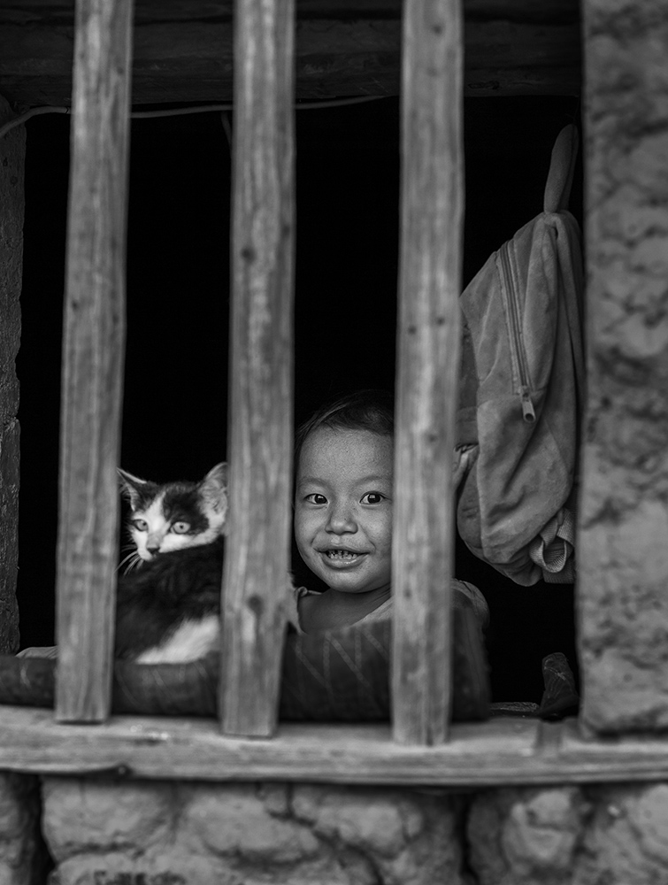 书包、小孩和猫