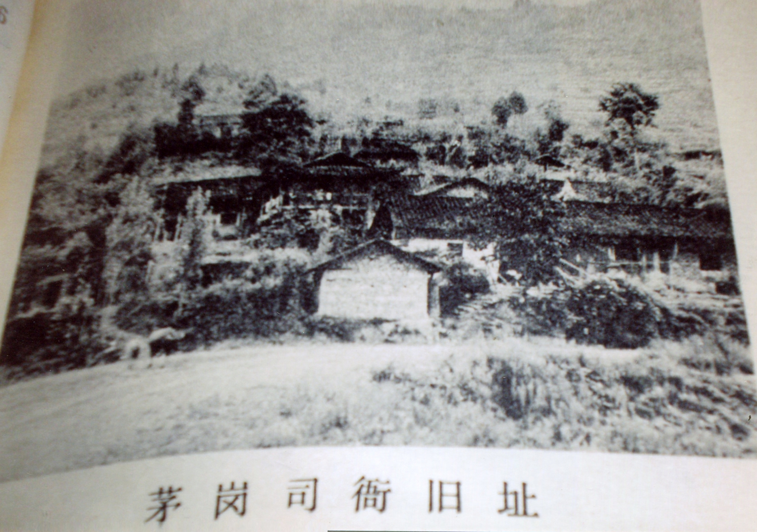 茅岗司衙旧址