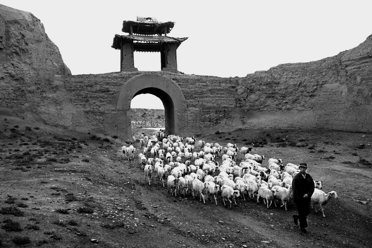 龟城