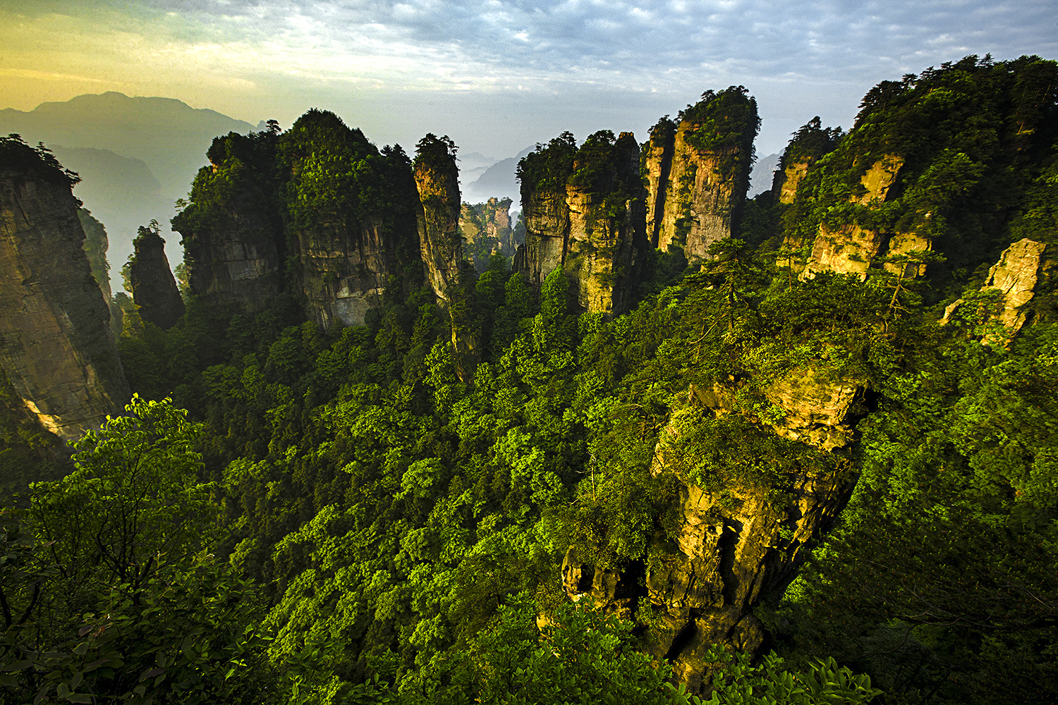 《绿色盆景》