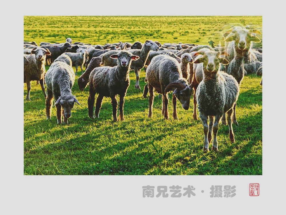 吉祥如意