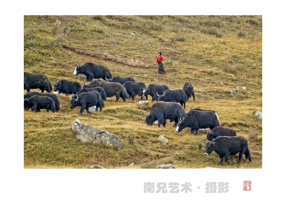 追逐