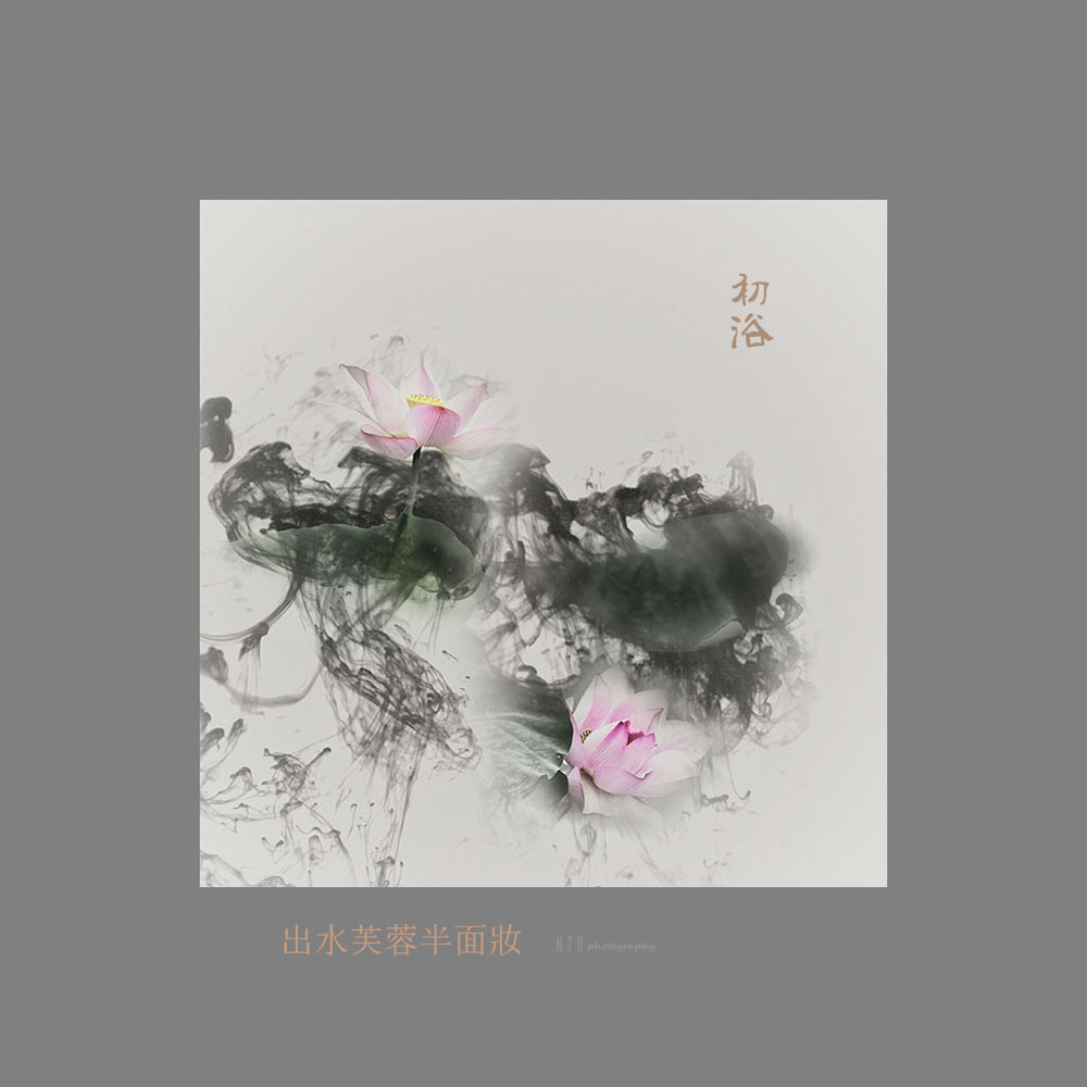 出水芙蓉