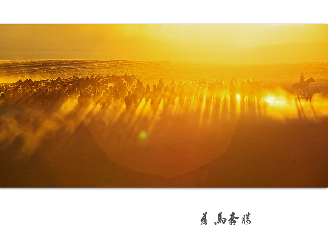 万马奔腾