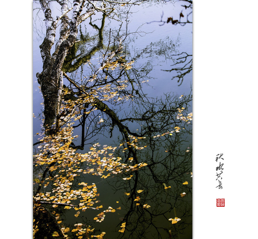 秋水共长