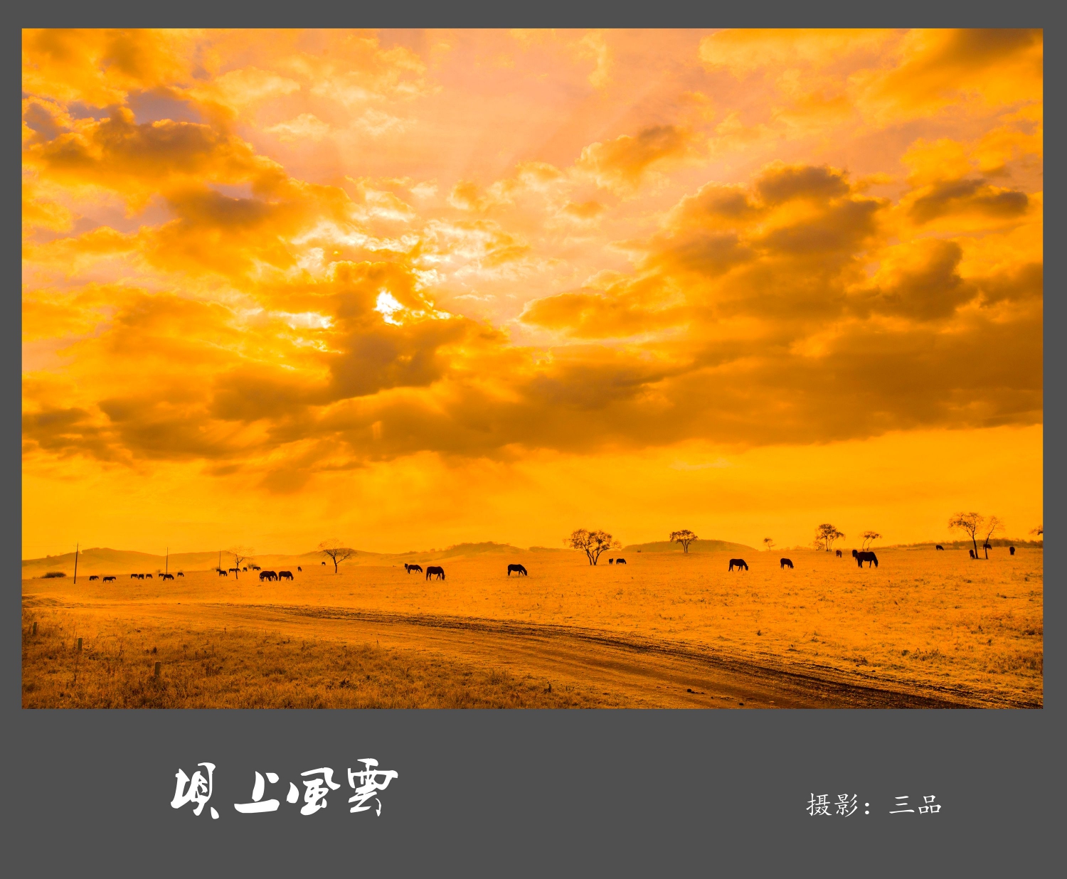 坝上风云