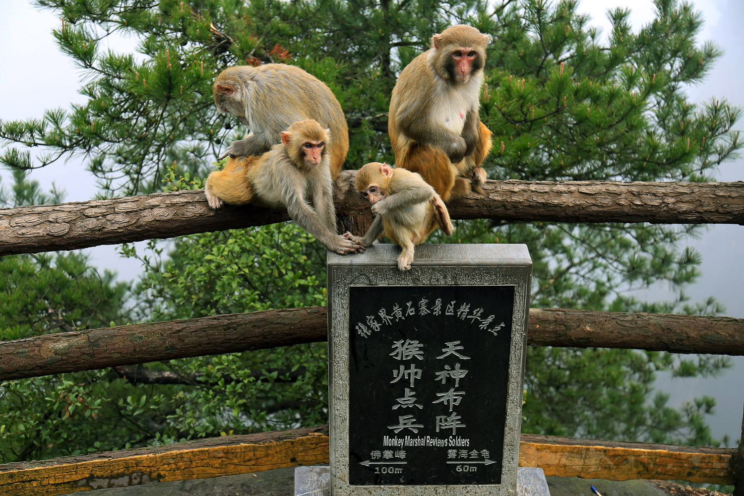 天猴练兵