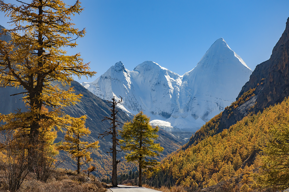 秋染雪山