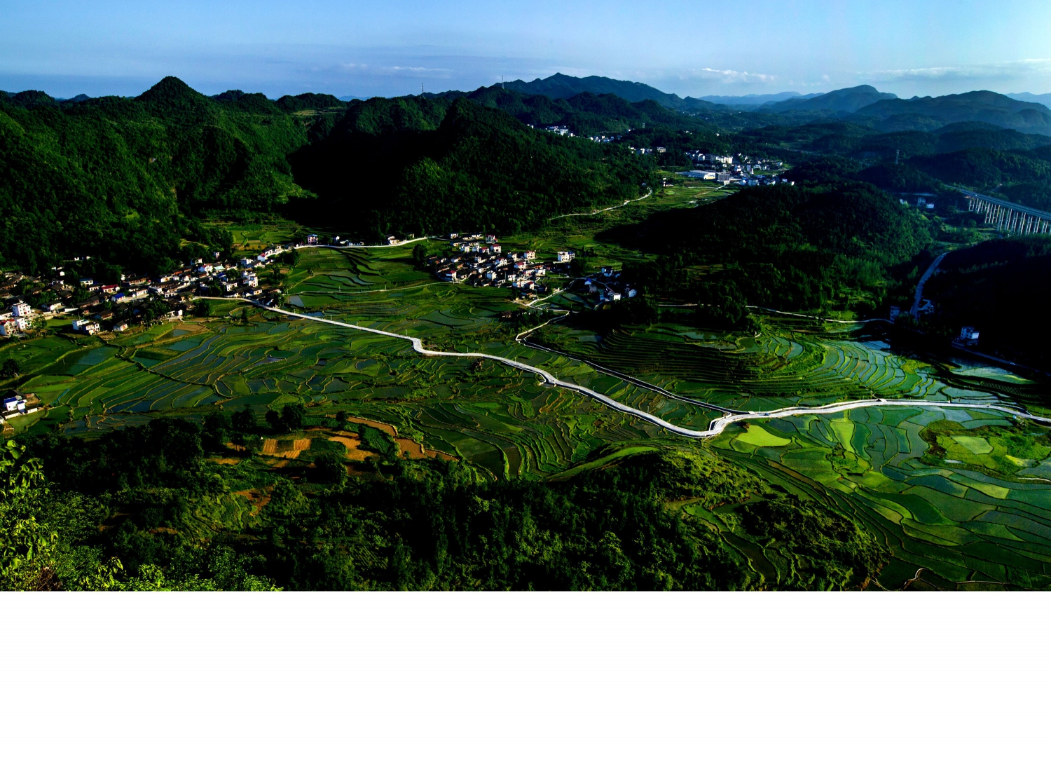 绿色大地