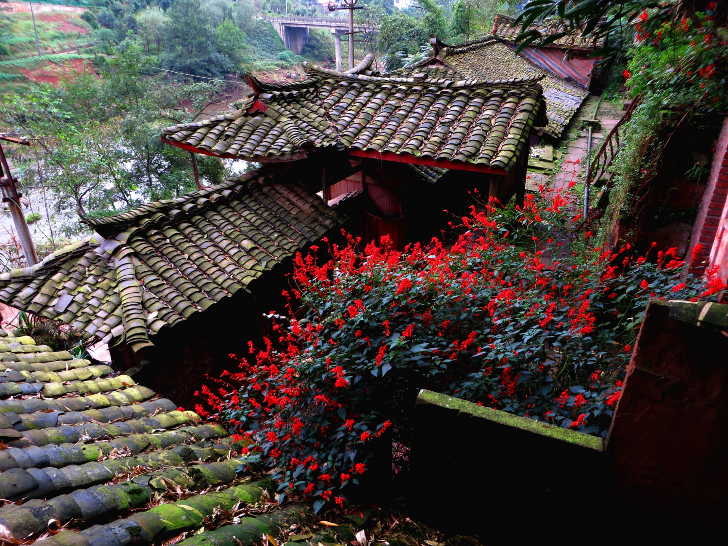 小院