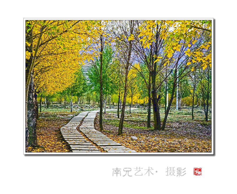秋意