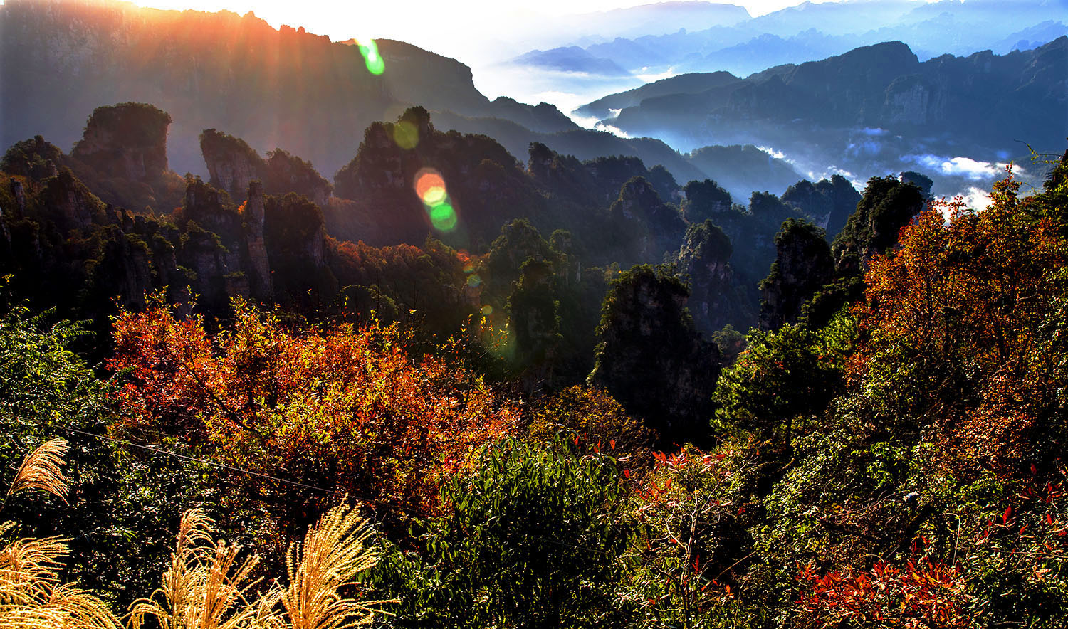 多彩天子山