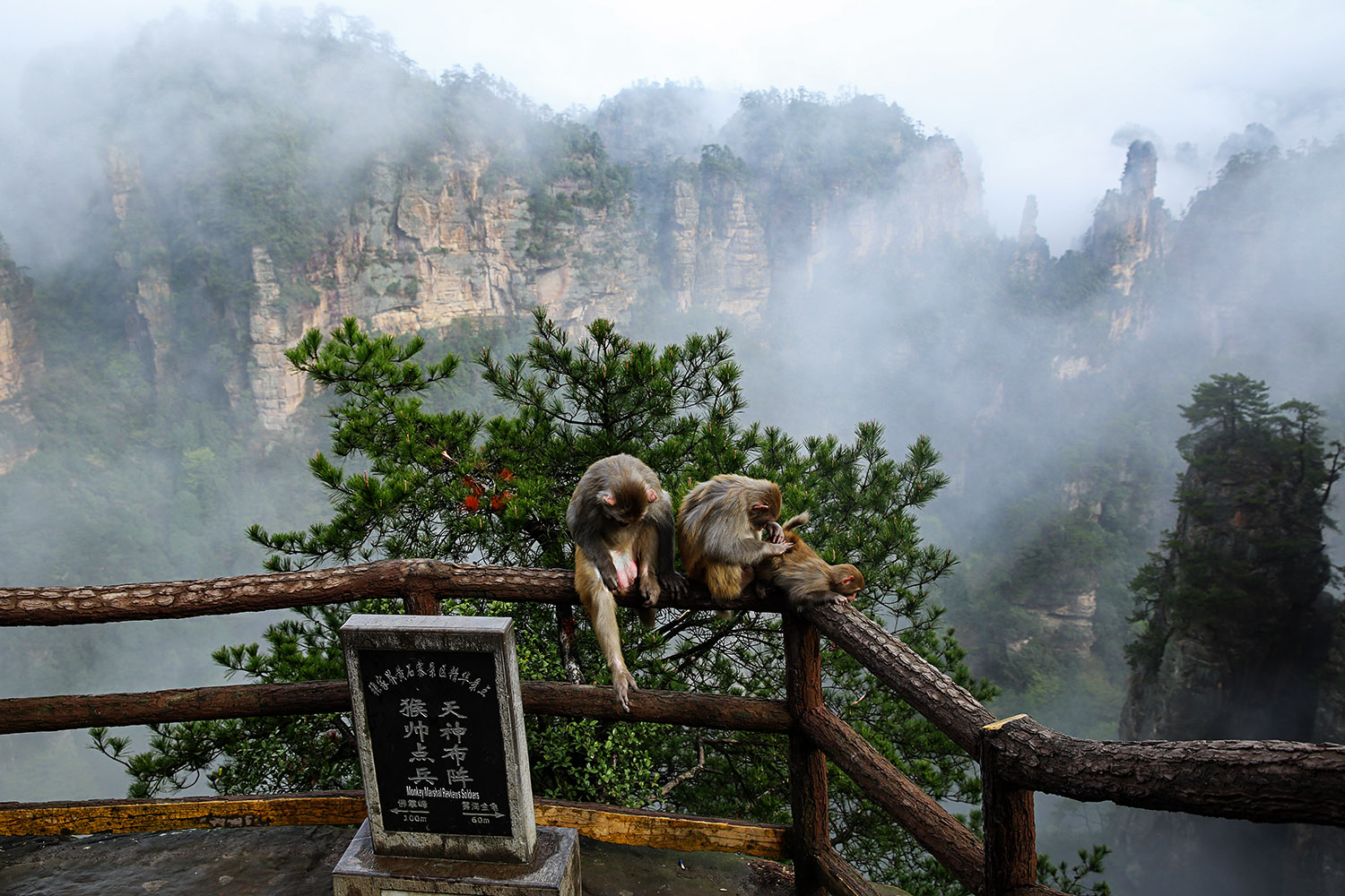 悠闲