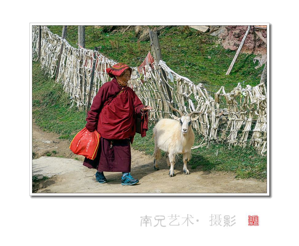 归来