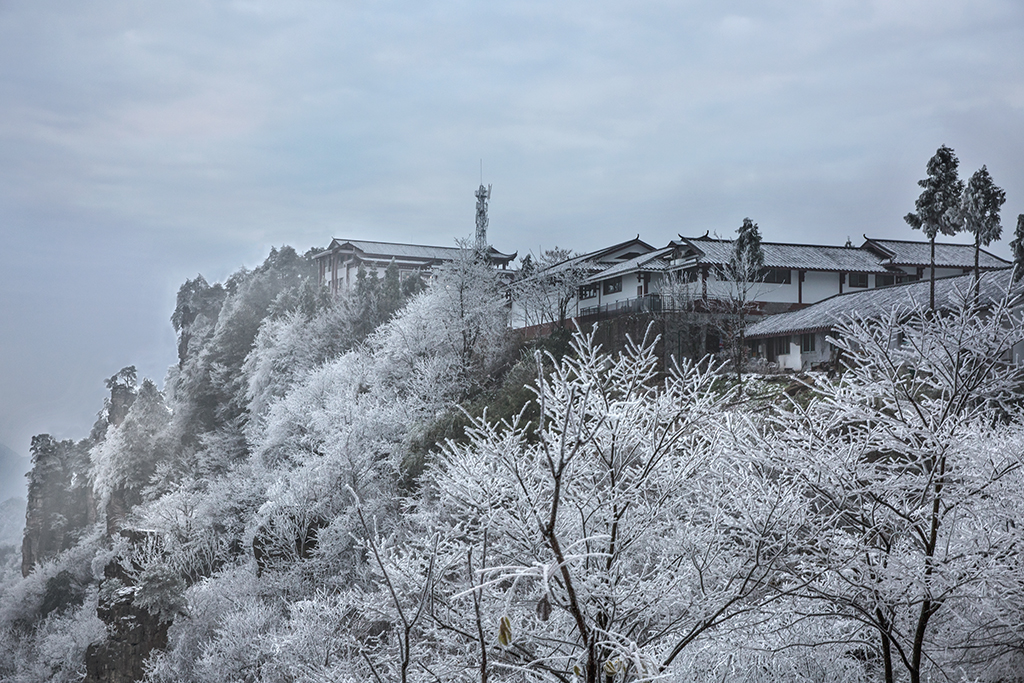 雪02