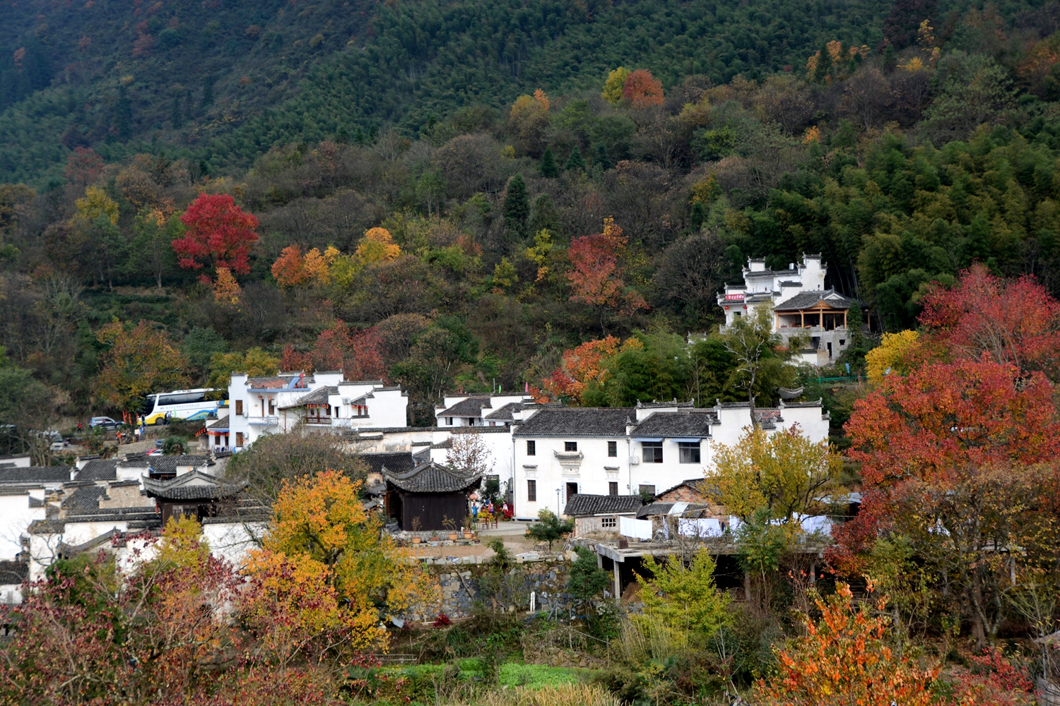 塔川秋韵