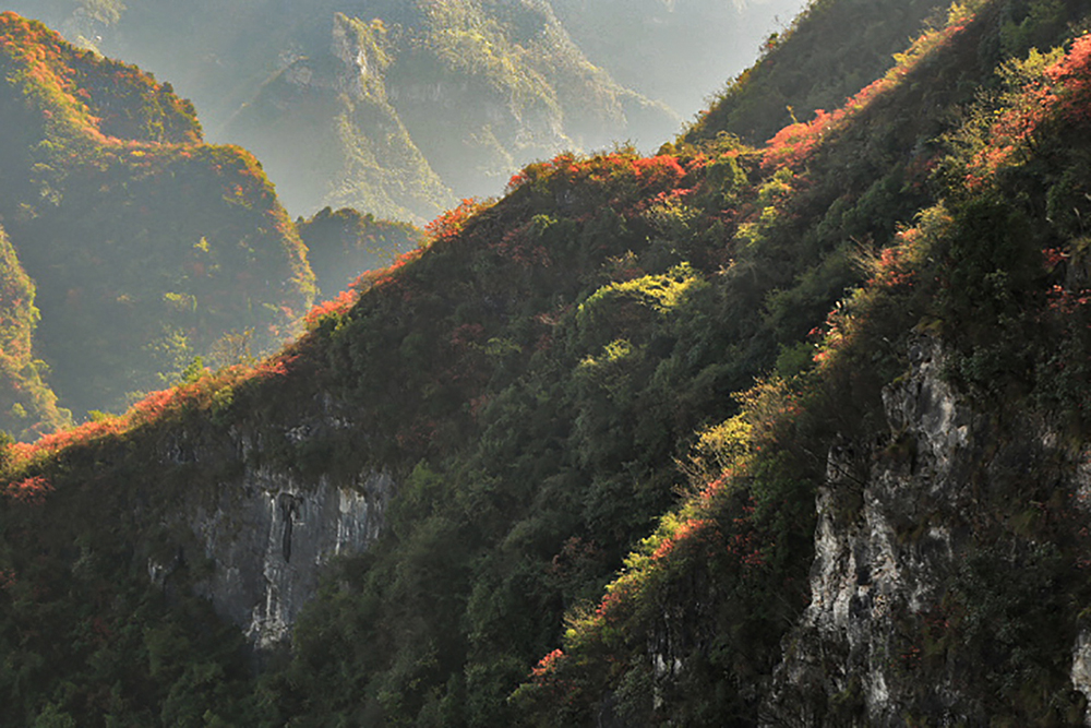 崇山秋意