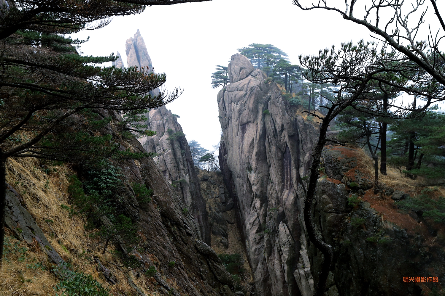 “侧成峰”