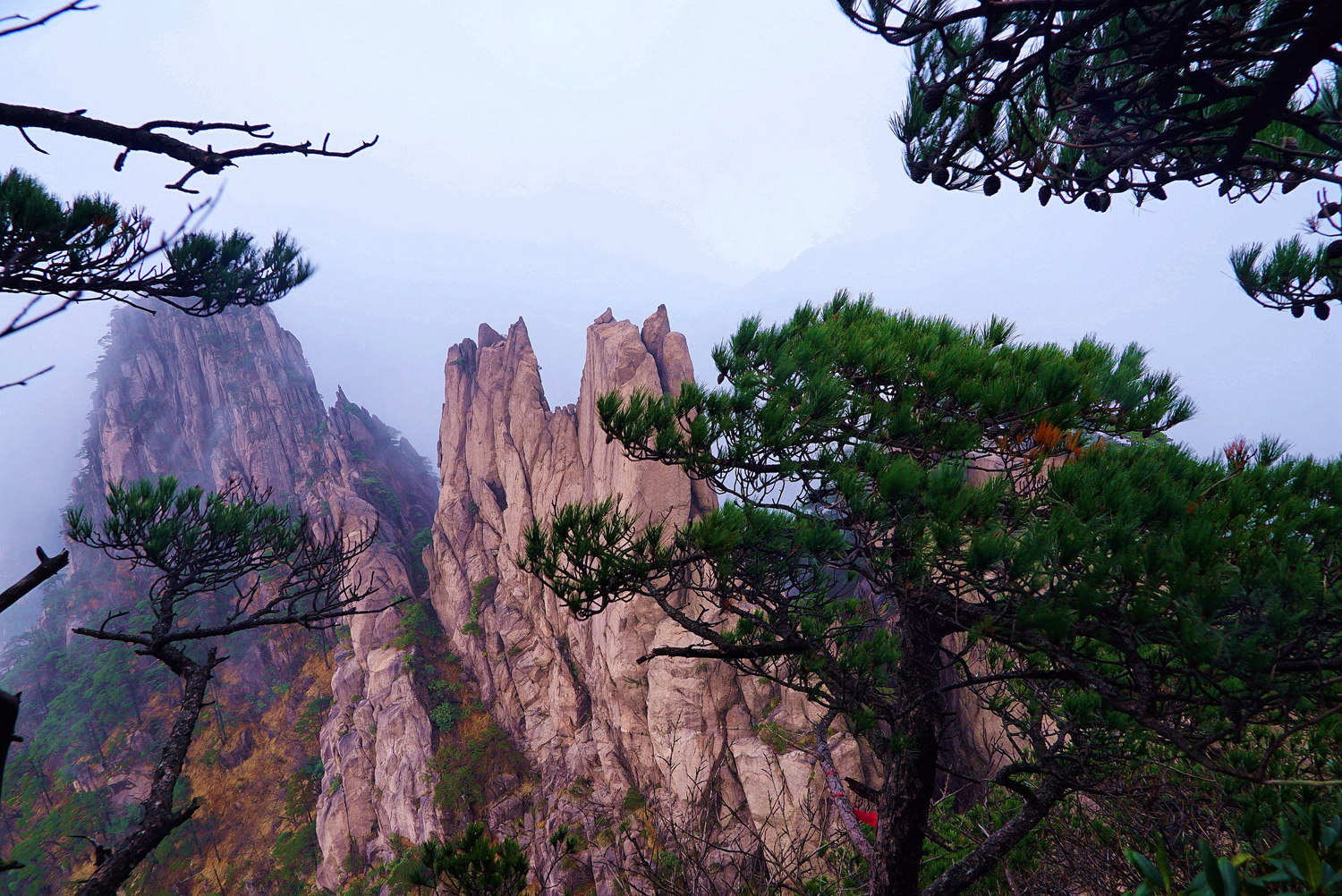烟雨黄山