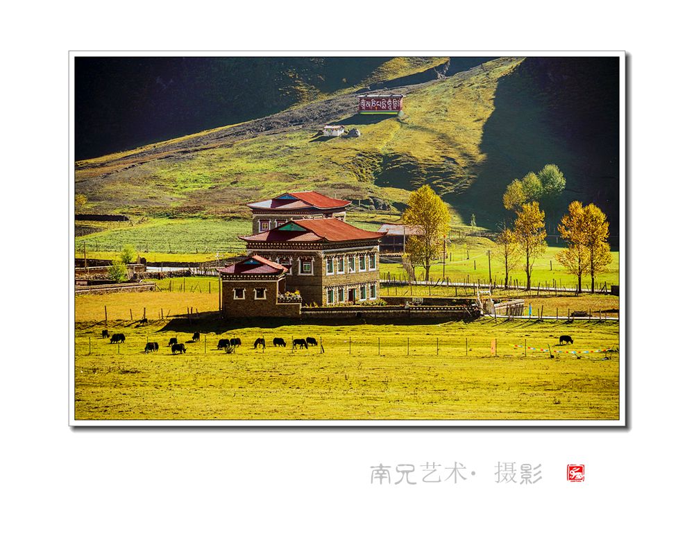 新都桥风光