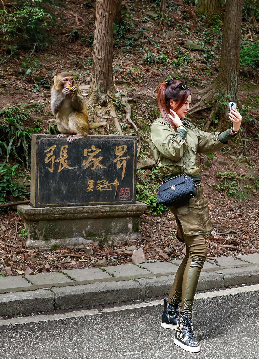 合个影吧