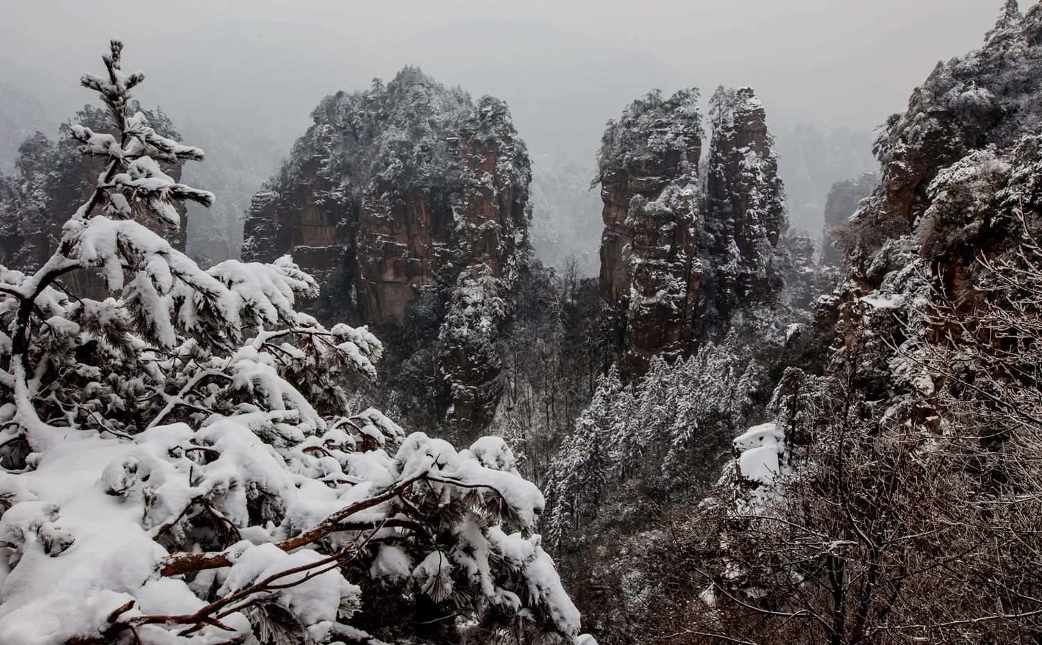 冬雪-2