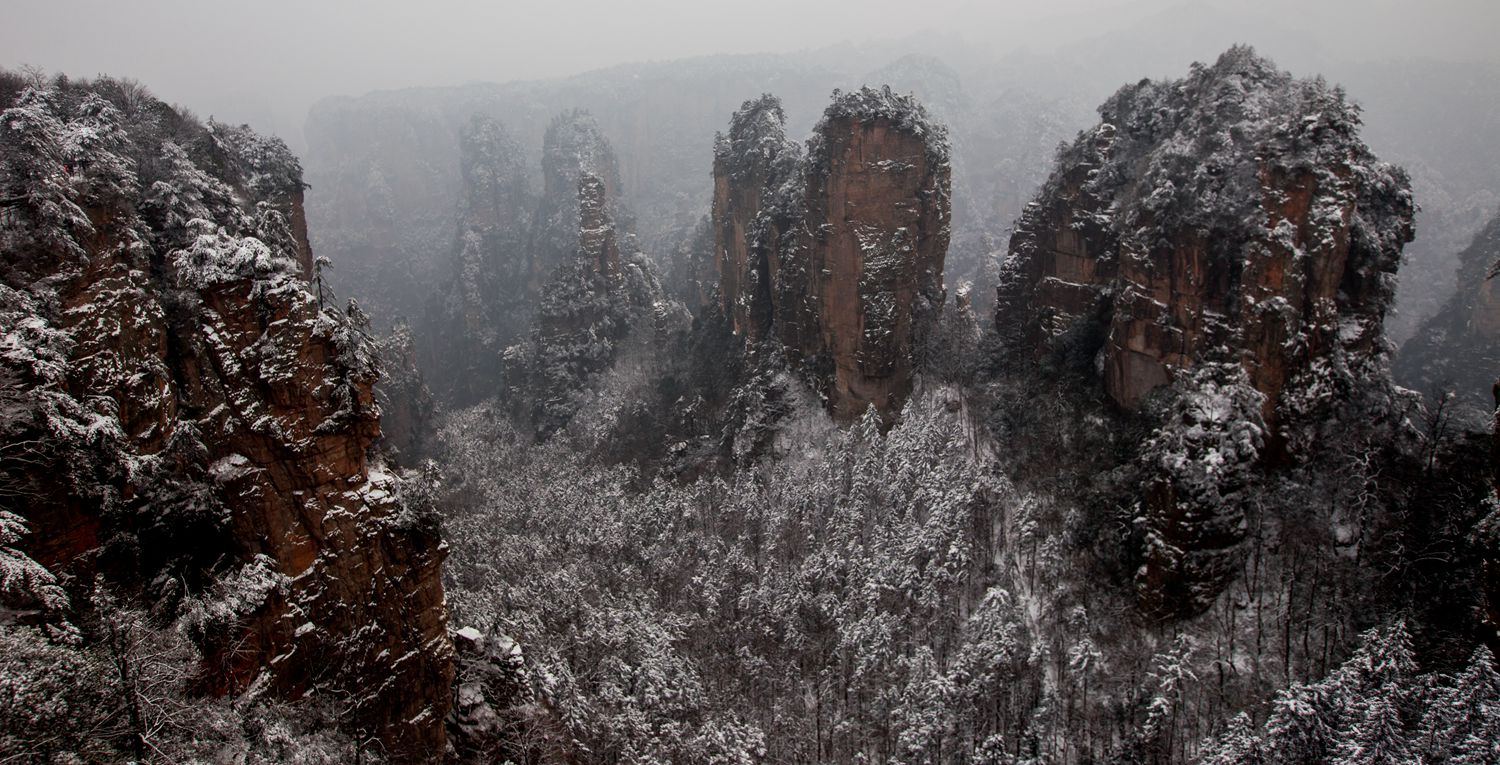 冬雪-1