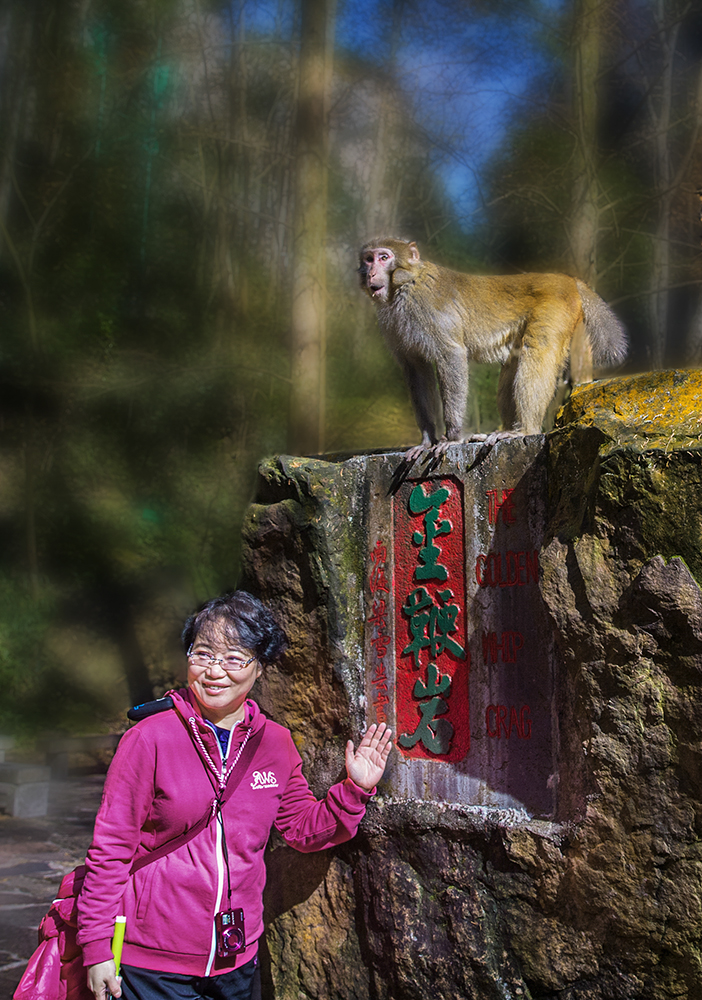 我也是一景