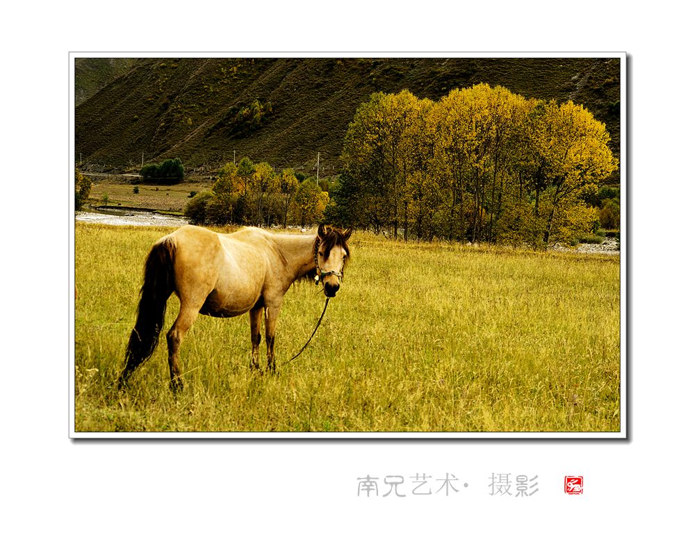 秋意