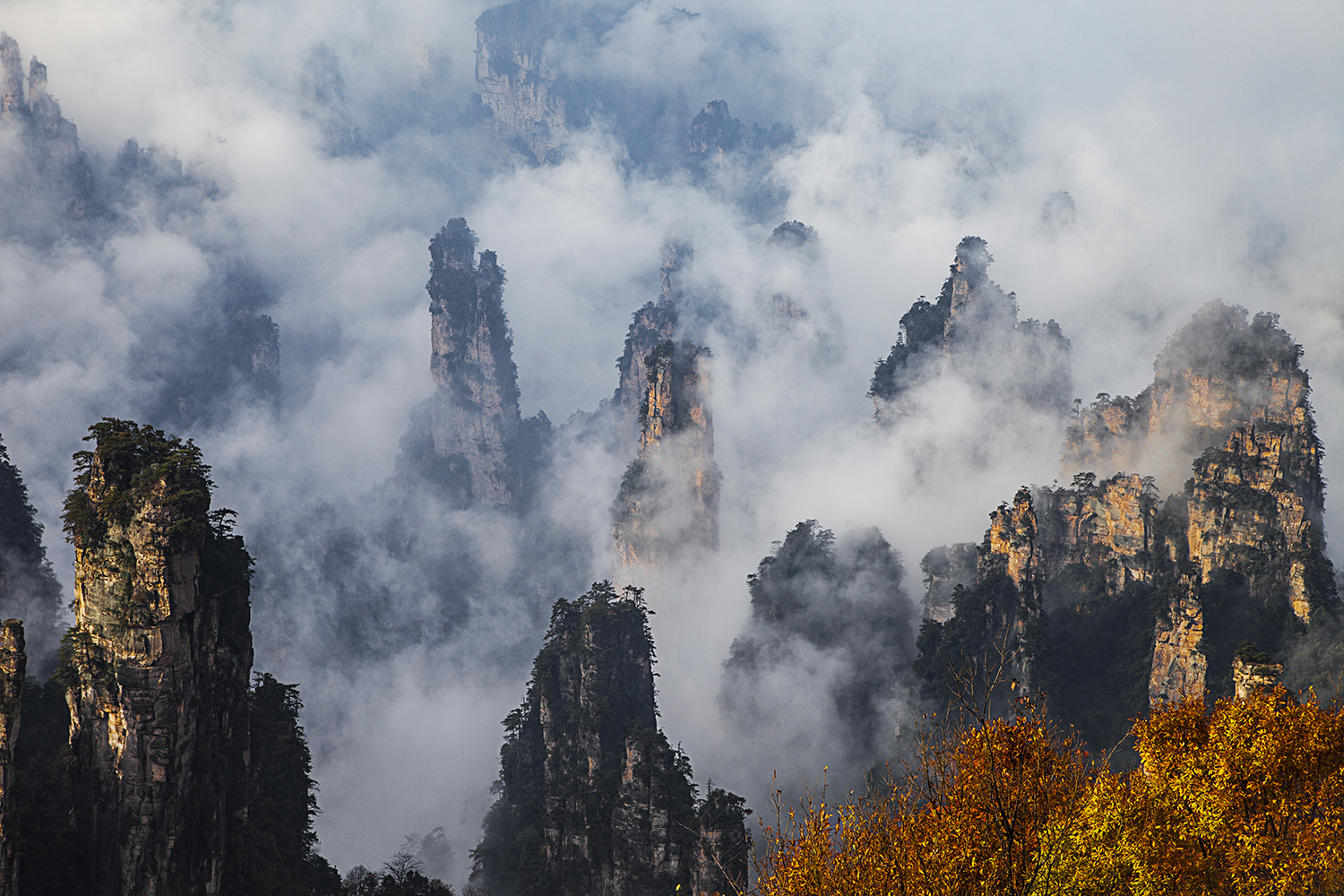 《淡墨青山一点红》