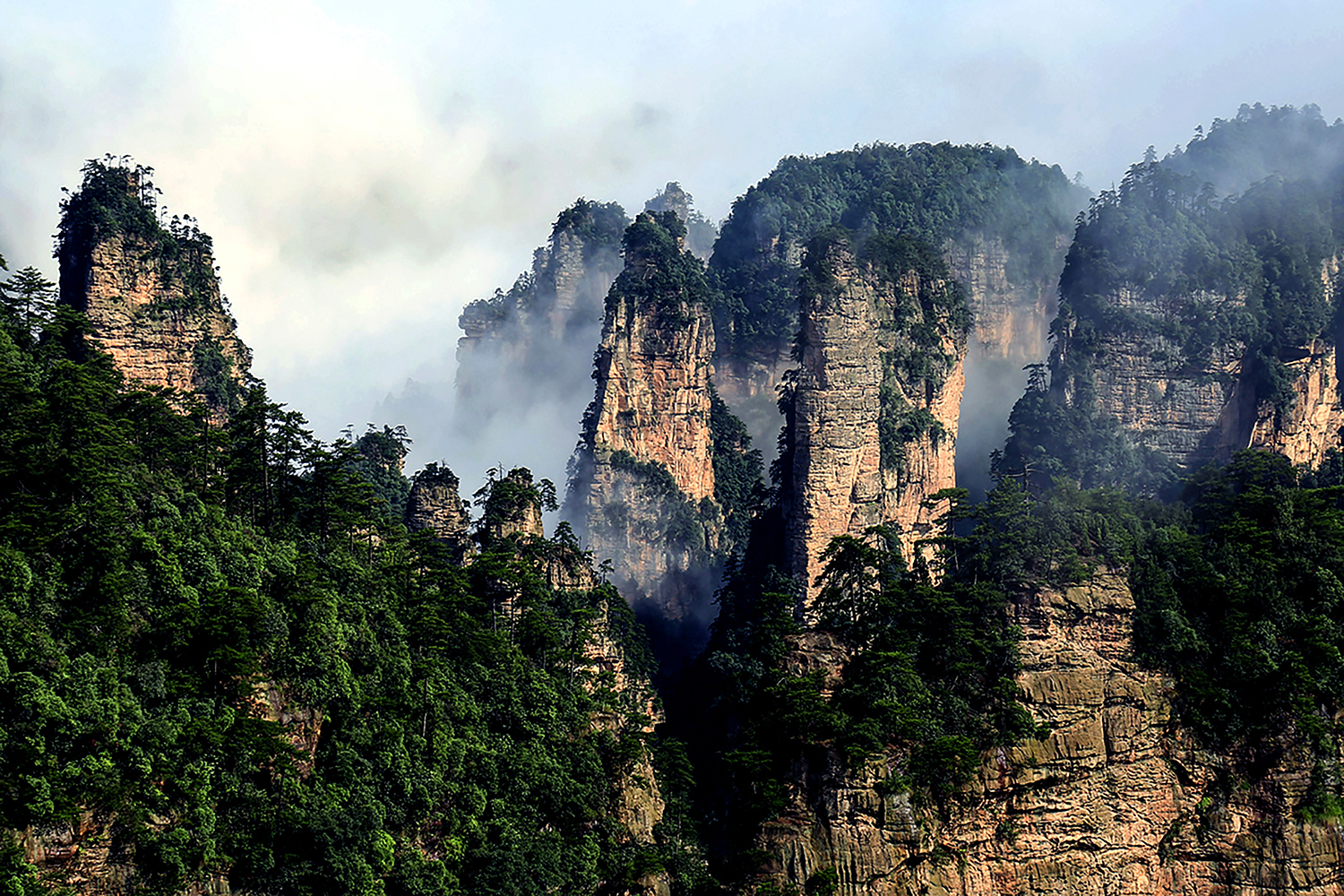梦幻仙景