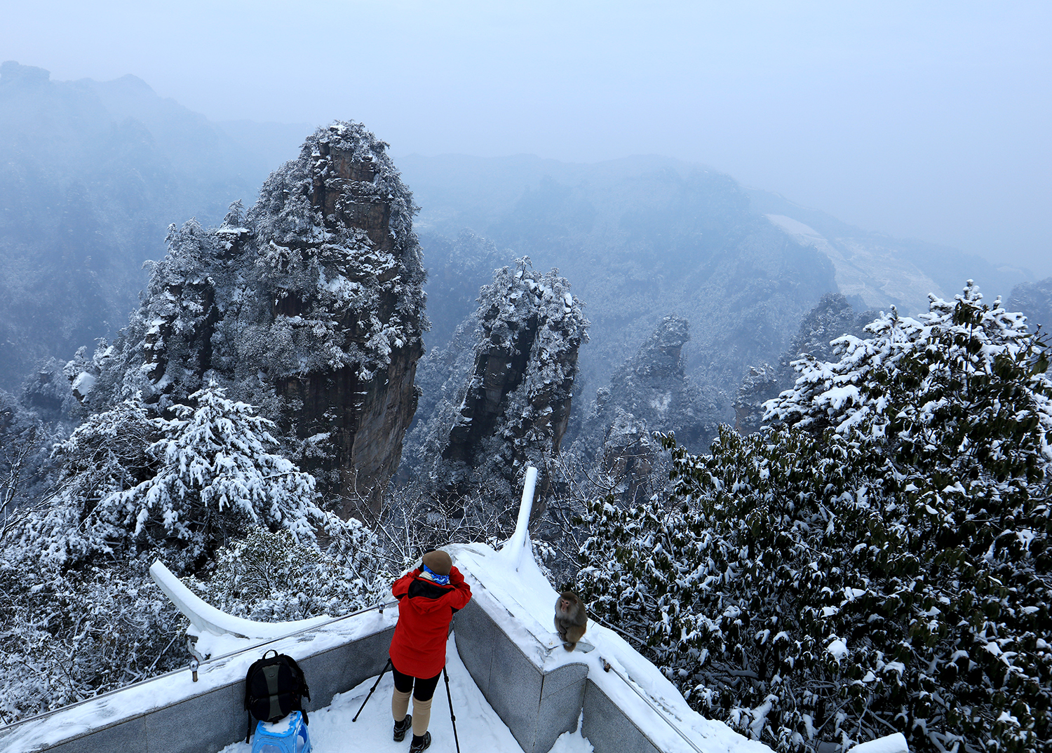 雪地陪伴