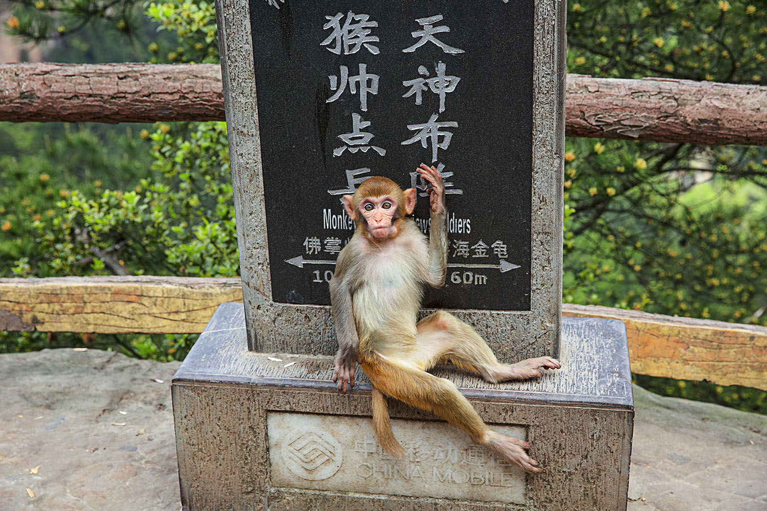 敬礼