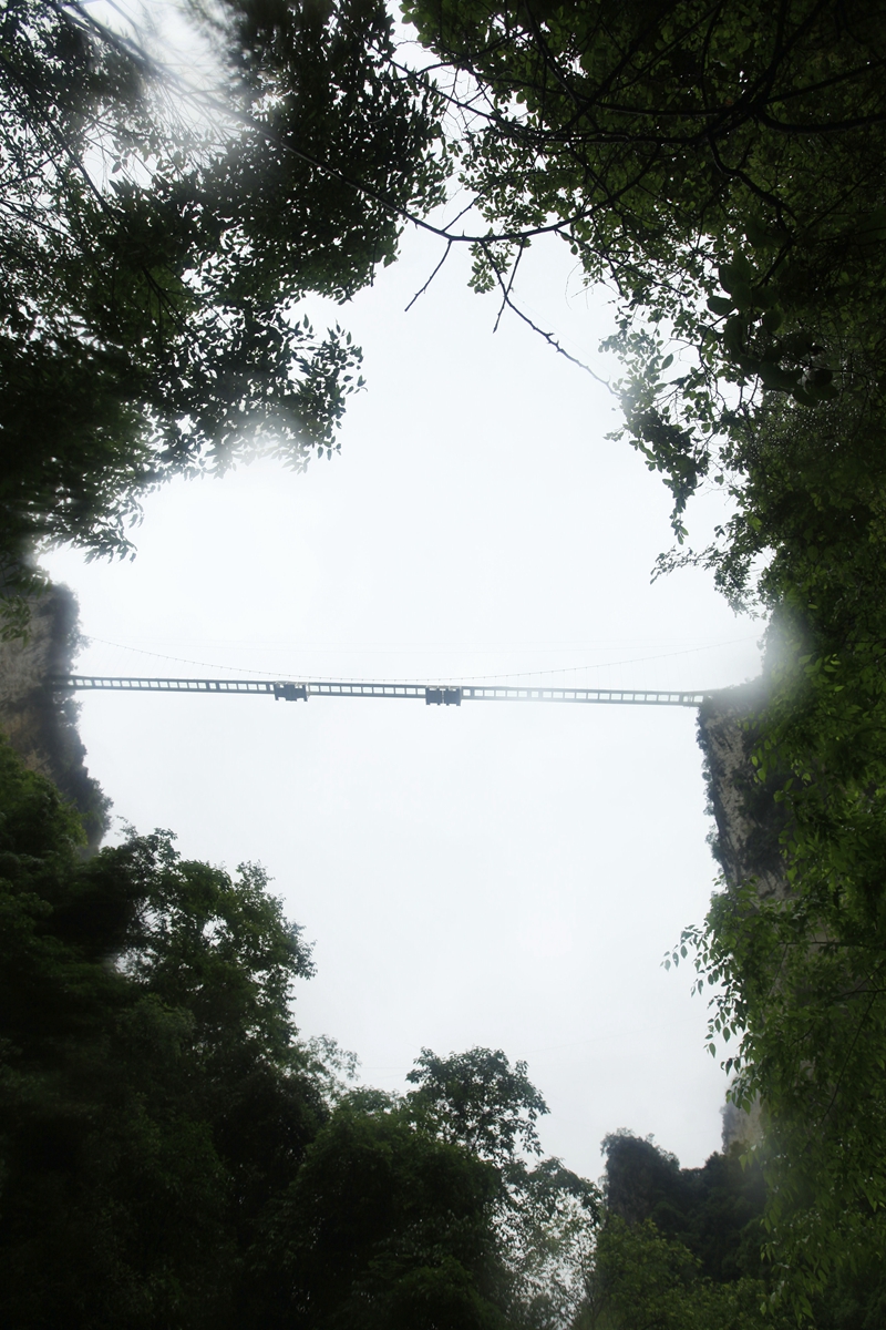 通天大道