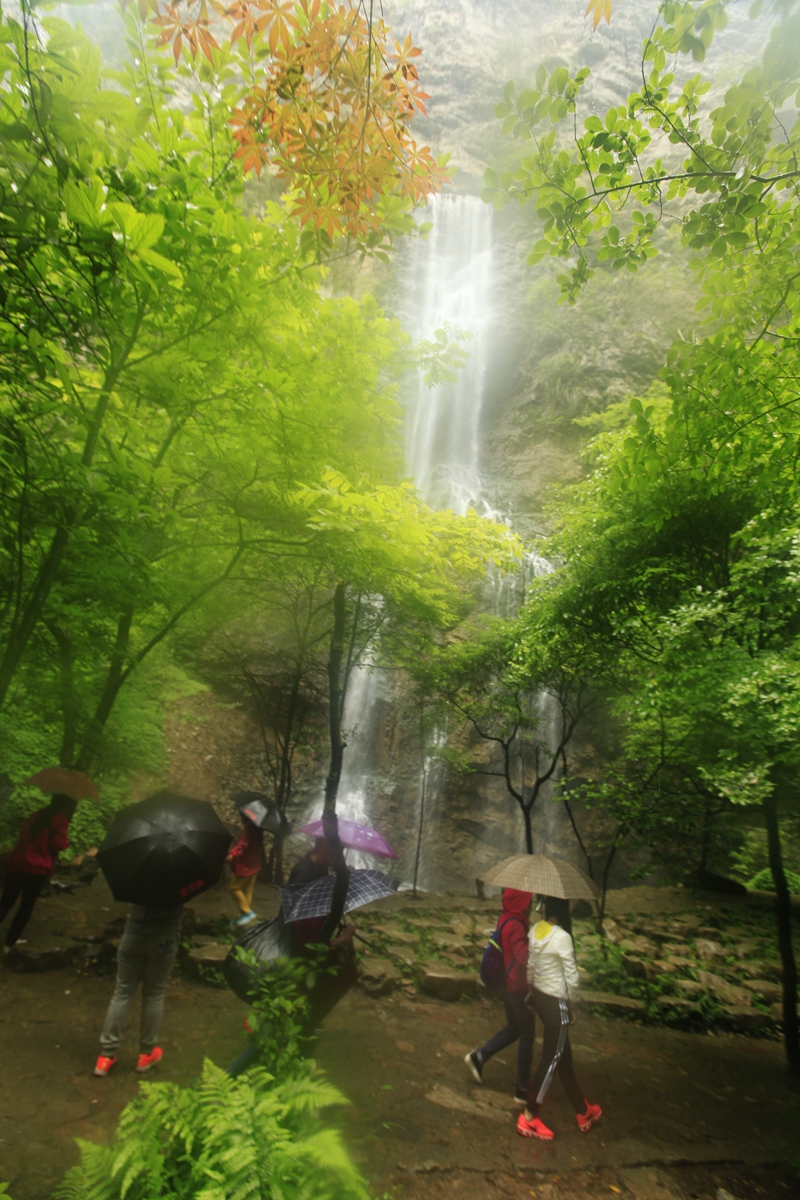 雨中漫步