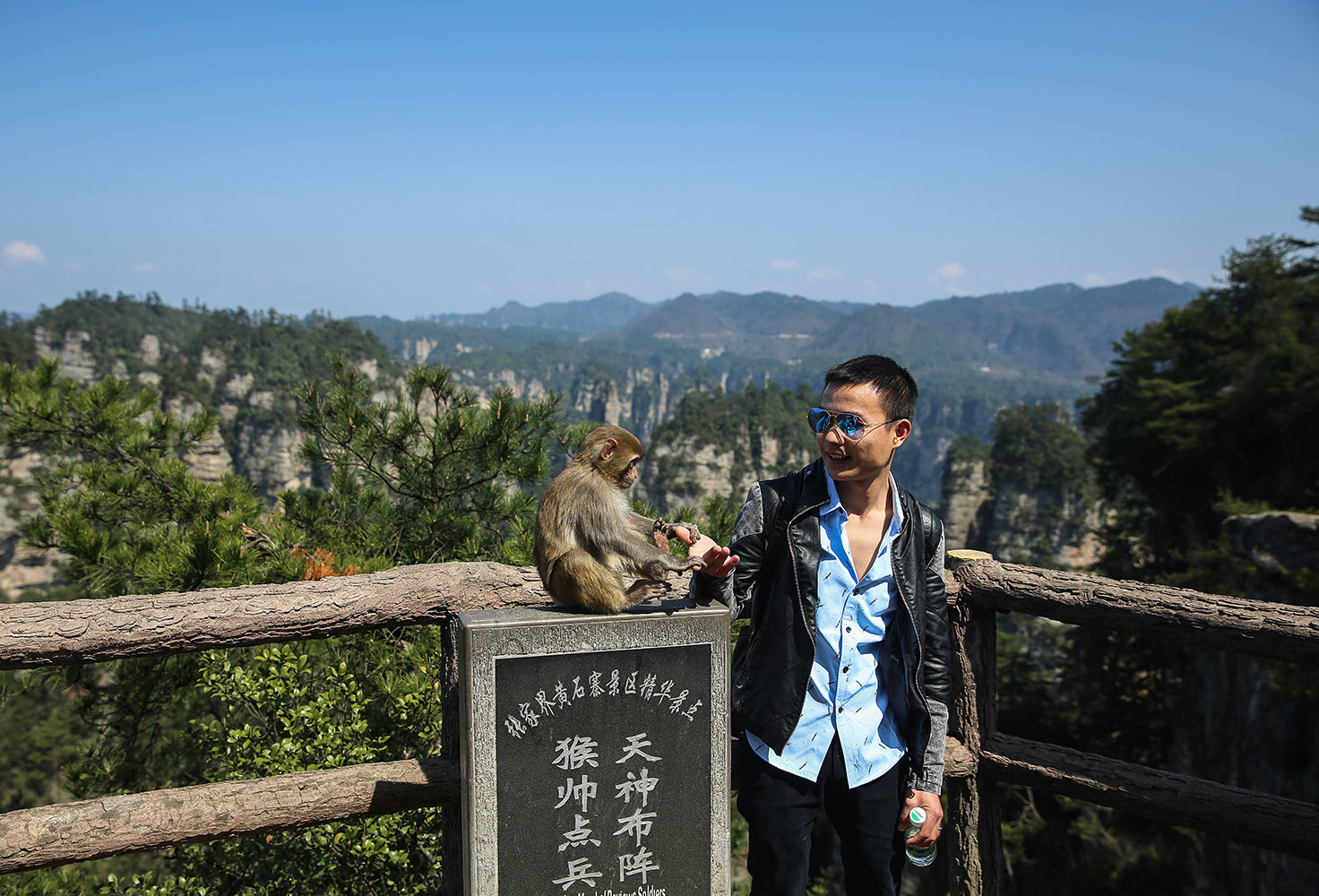 《戏猴》组照4