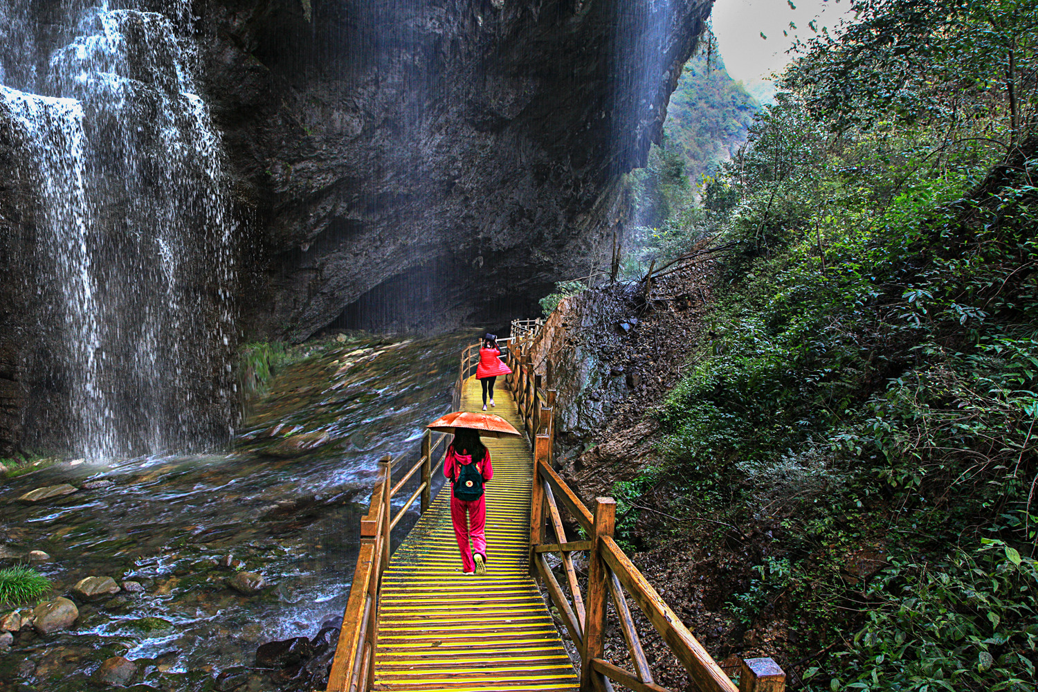 《峡谷柔情》