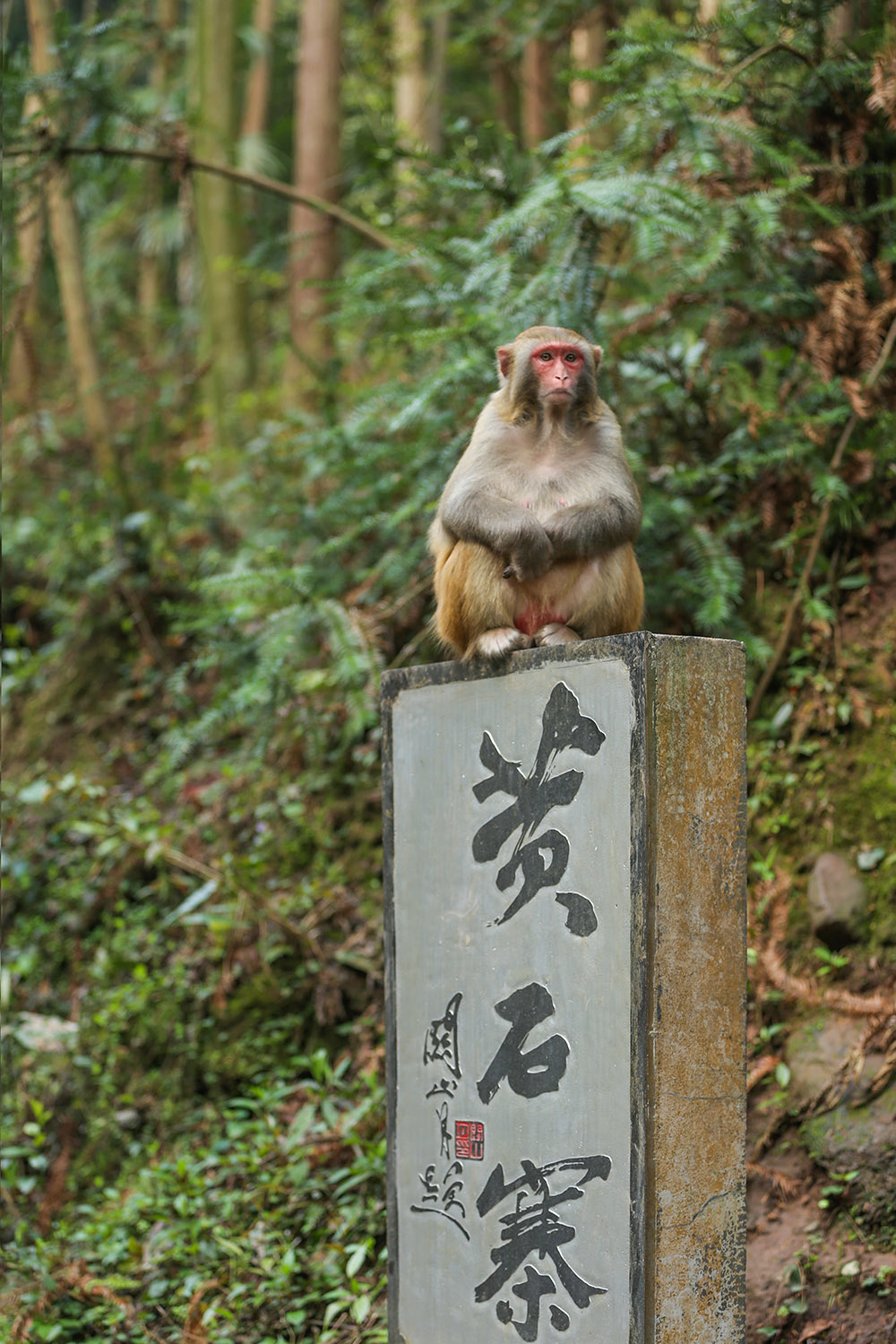 黄石寨顶是我家