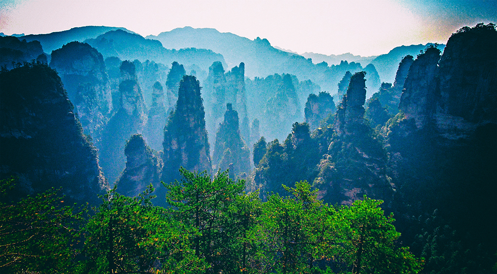 秀树奇峰