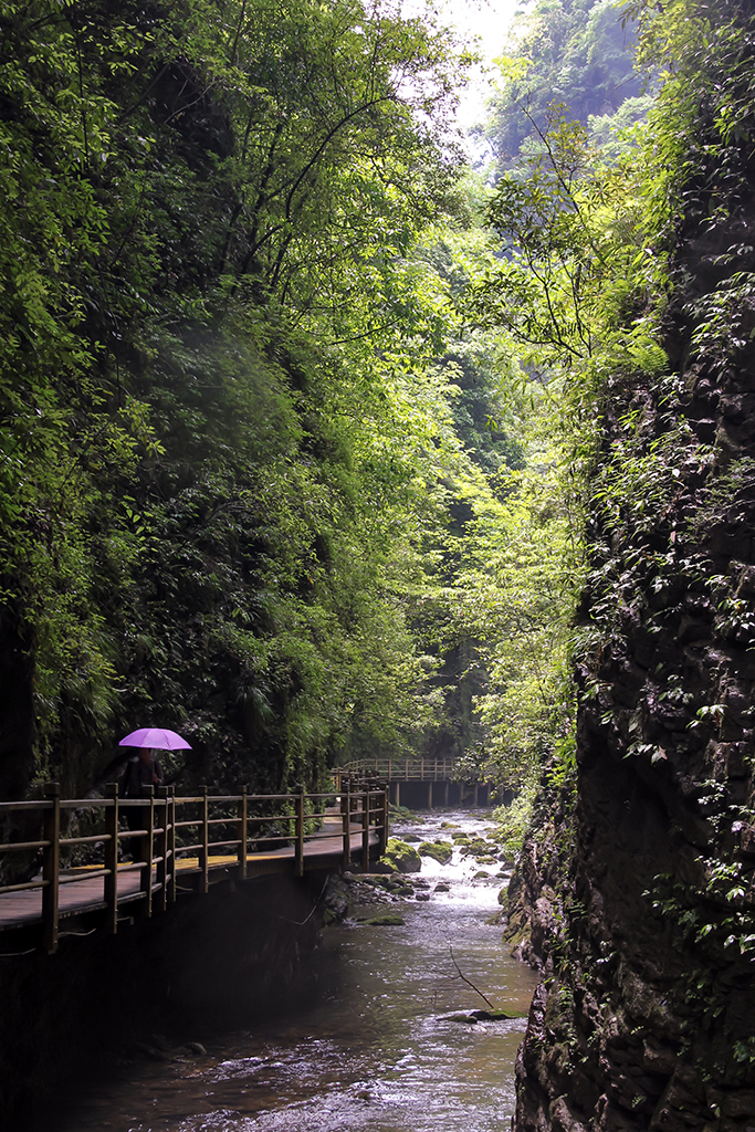 小溪风光