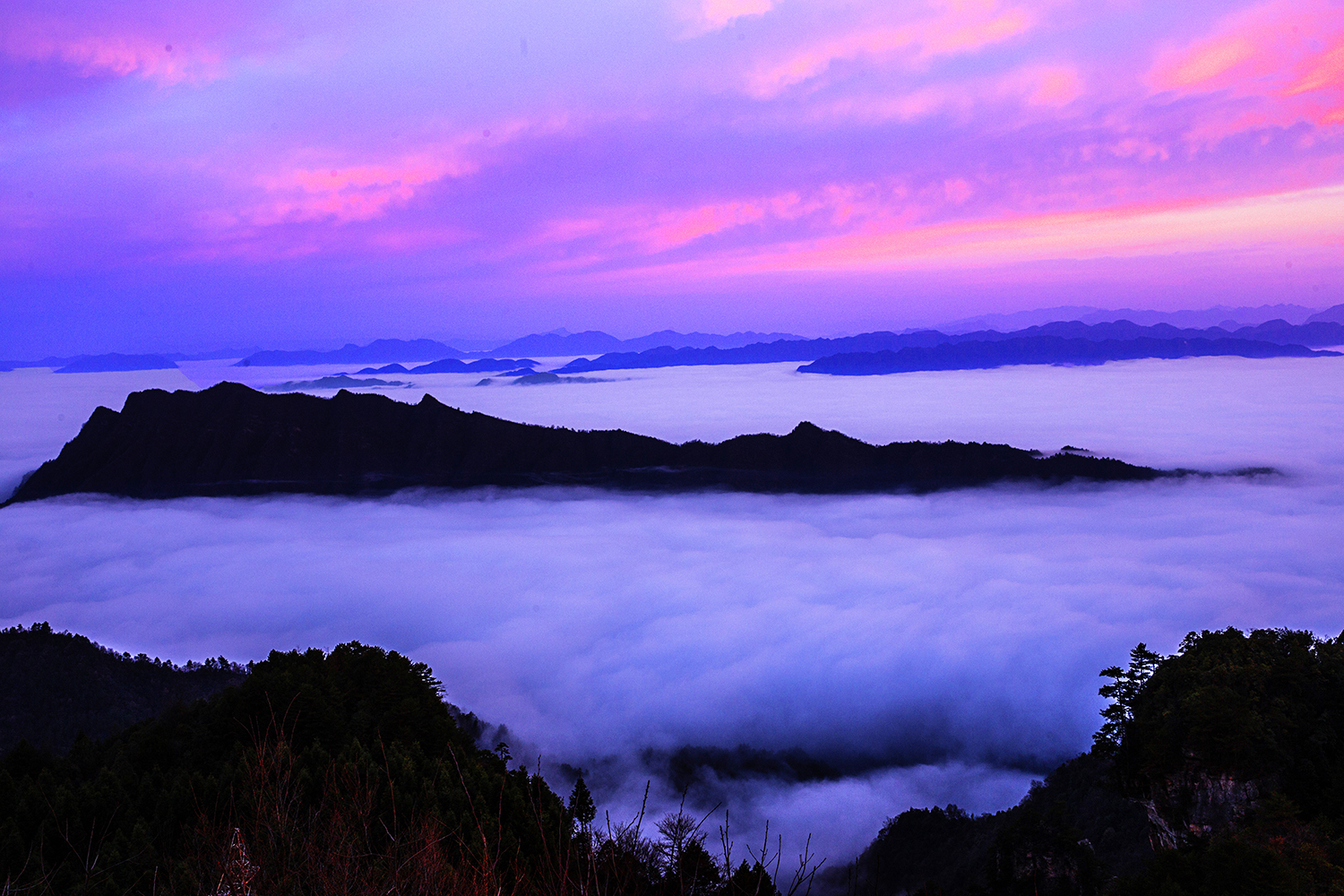 天子山云海