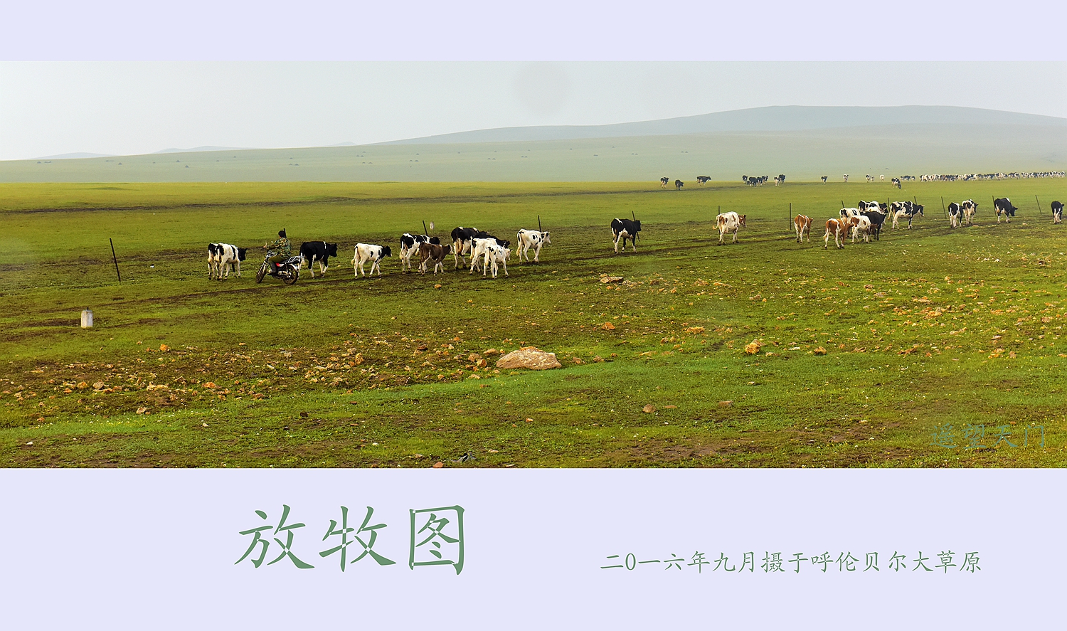 放牧图