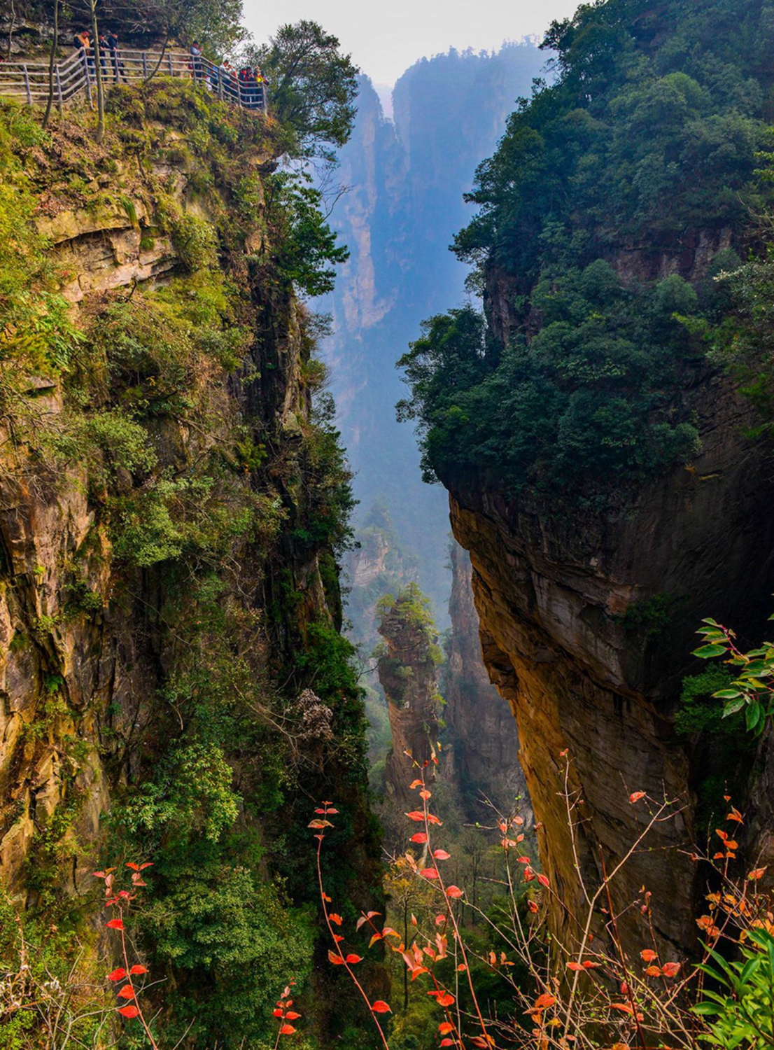 峰林秀色